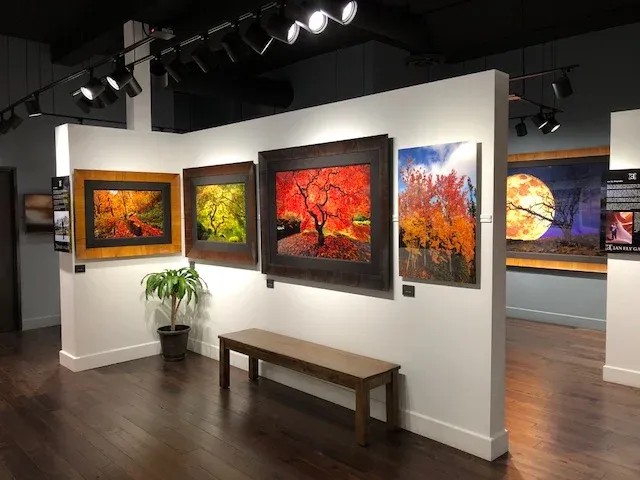 Ian Ely Gallery