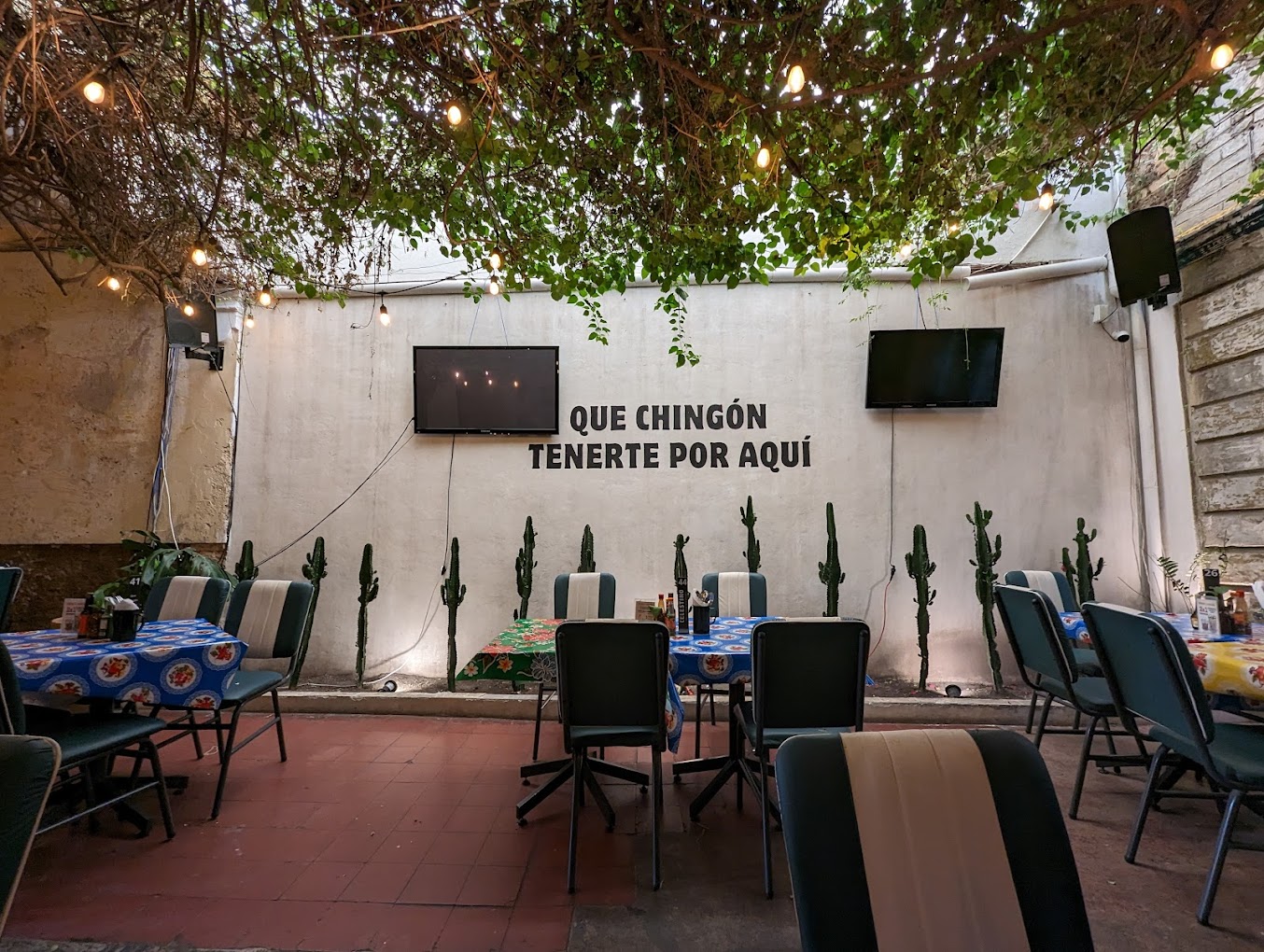 Celestino Mar y Tierra