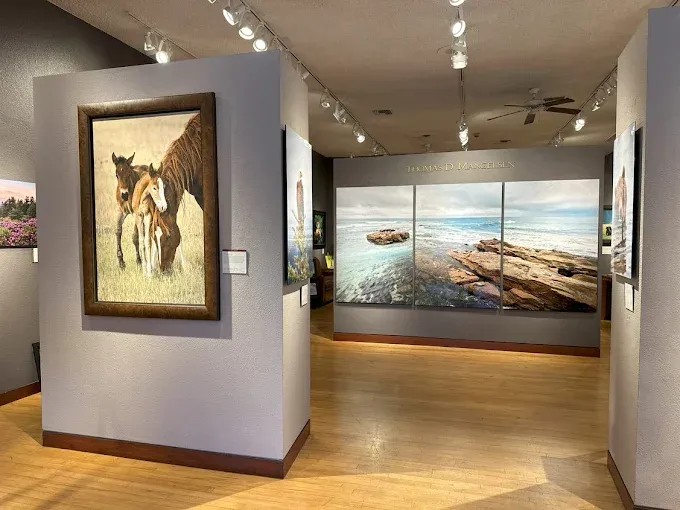 Mangelsen Images Of Nature Gallery