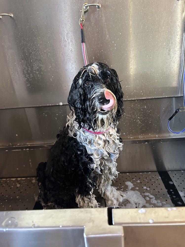 Left Coast Grooming