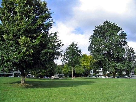 Dude Chilling Park