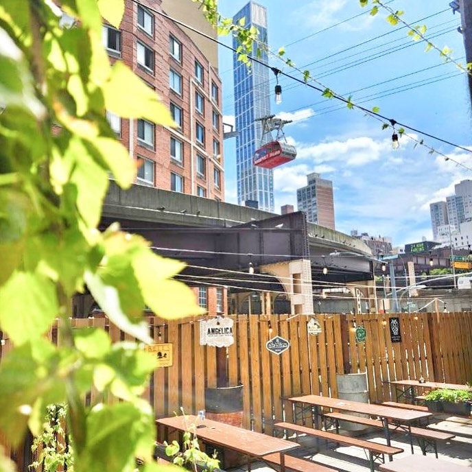 The Jeffrey Craft Beer & Bites