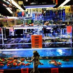 6th ave aquarium discount