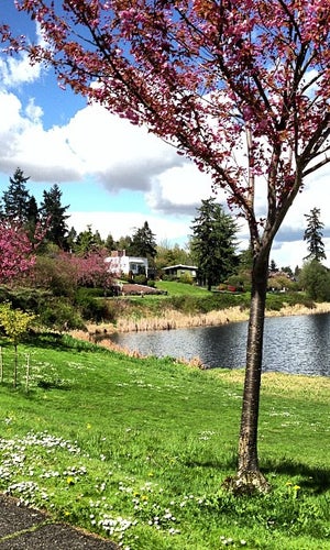 Seward Park