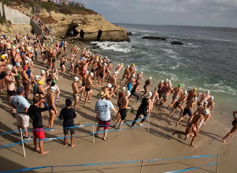 La Jolla Cove Swim