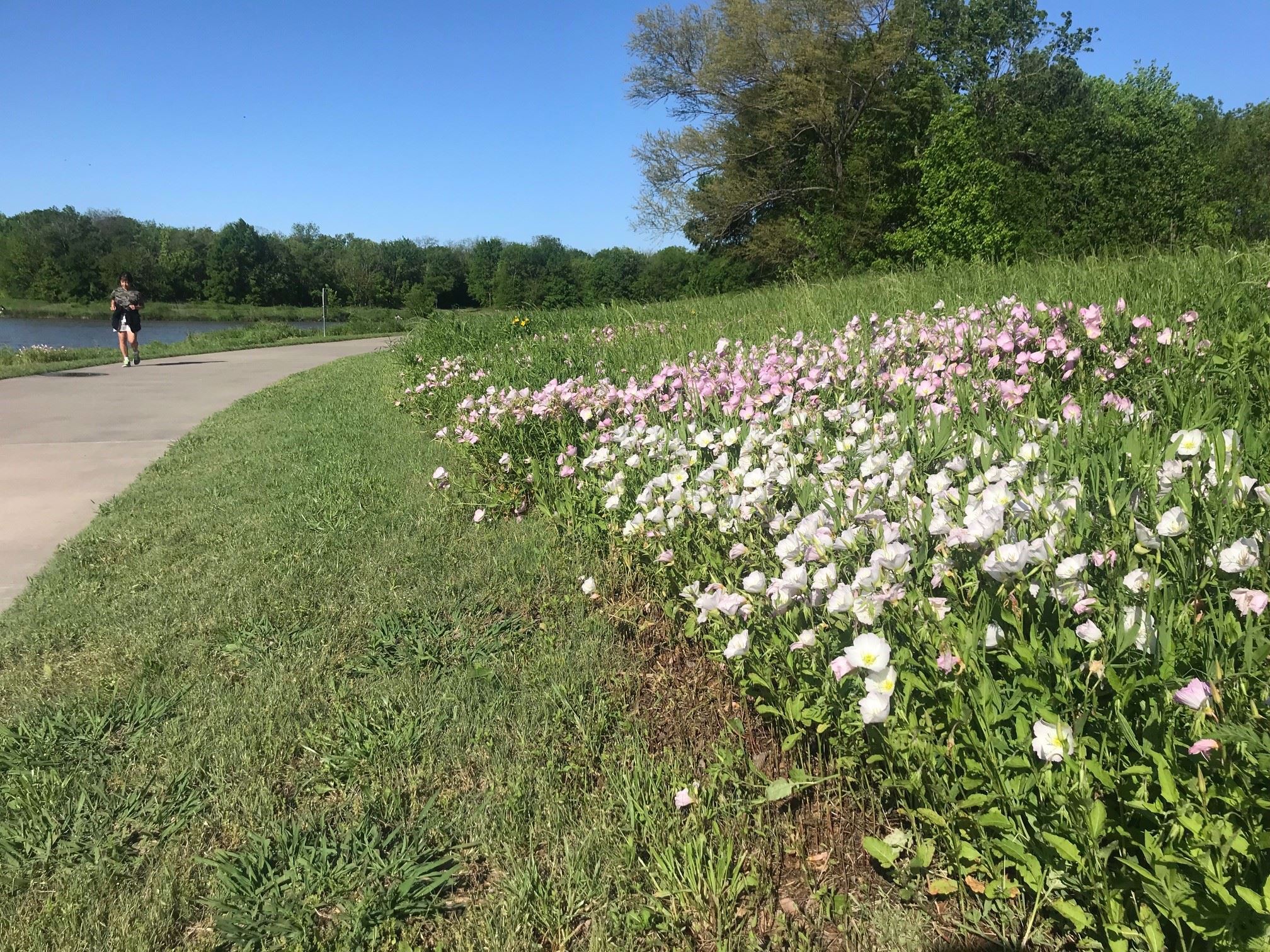Oak Point Park and Nature Preserve