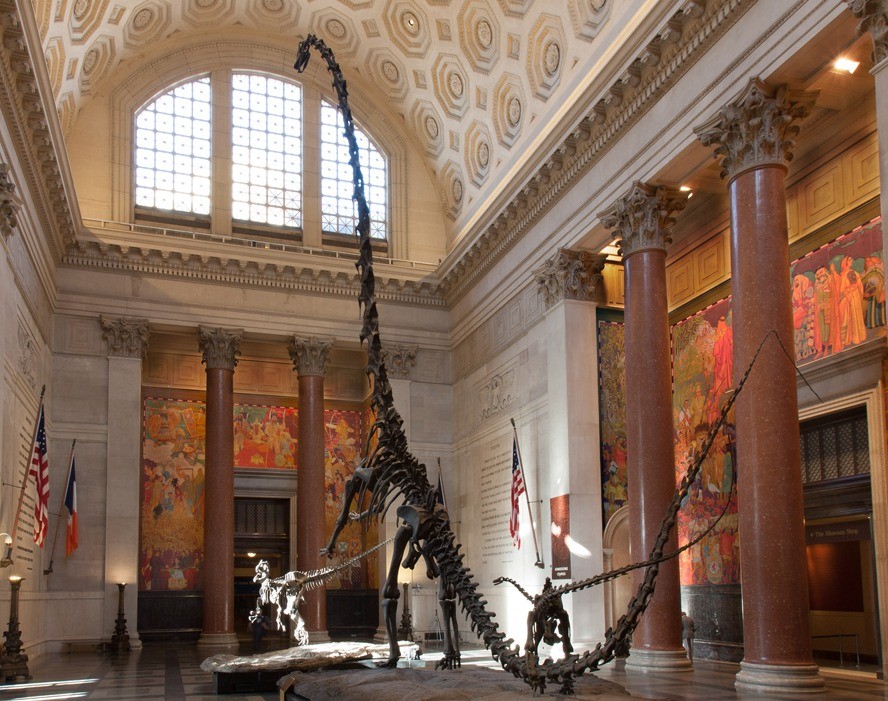 American Museum of Natural History