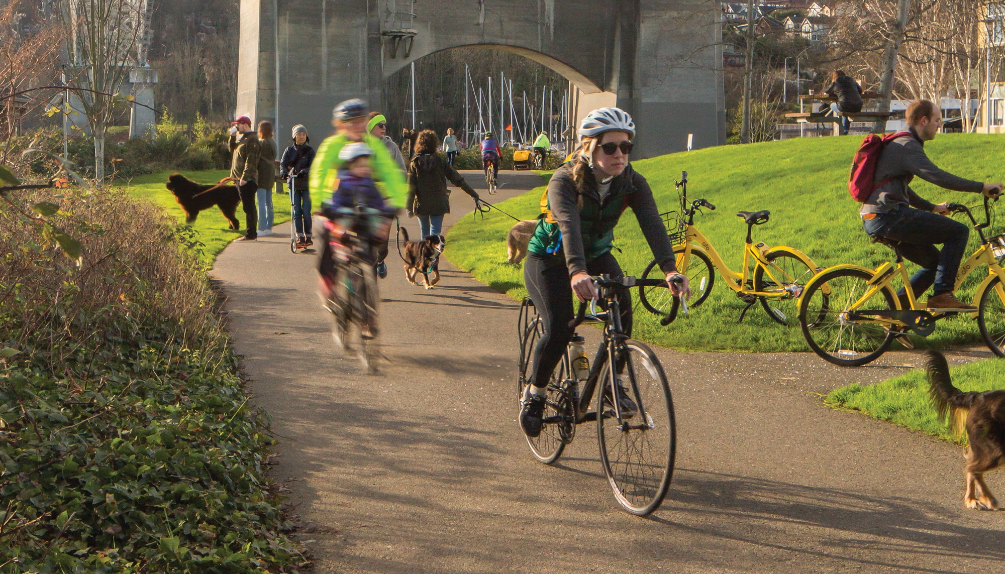 Burke Gilman Trail