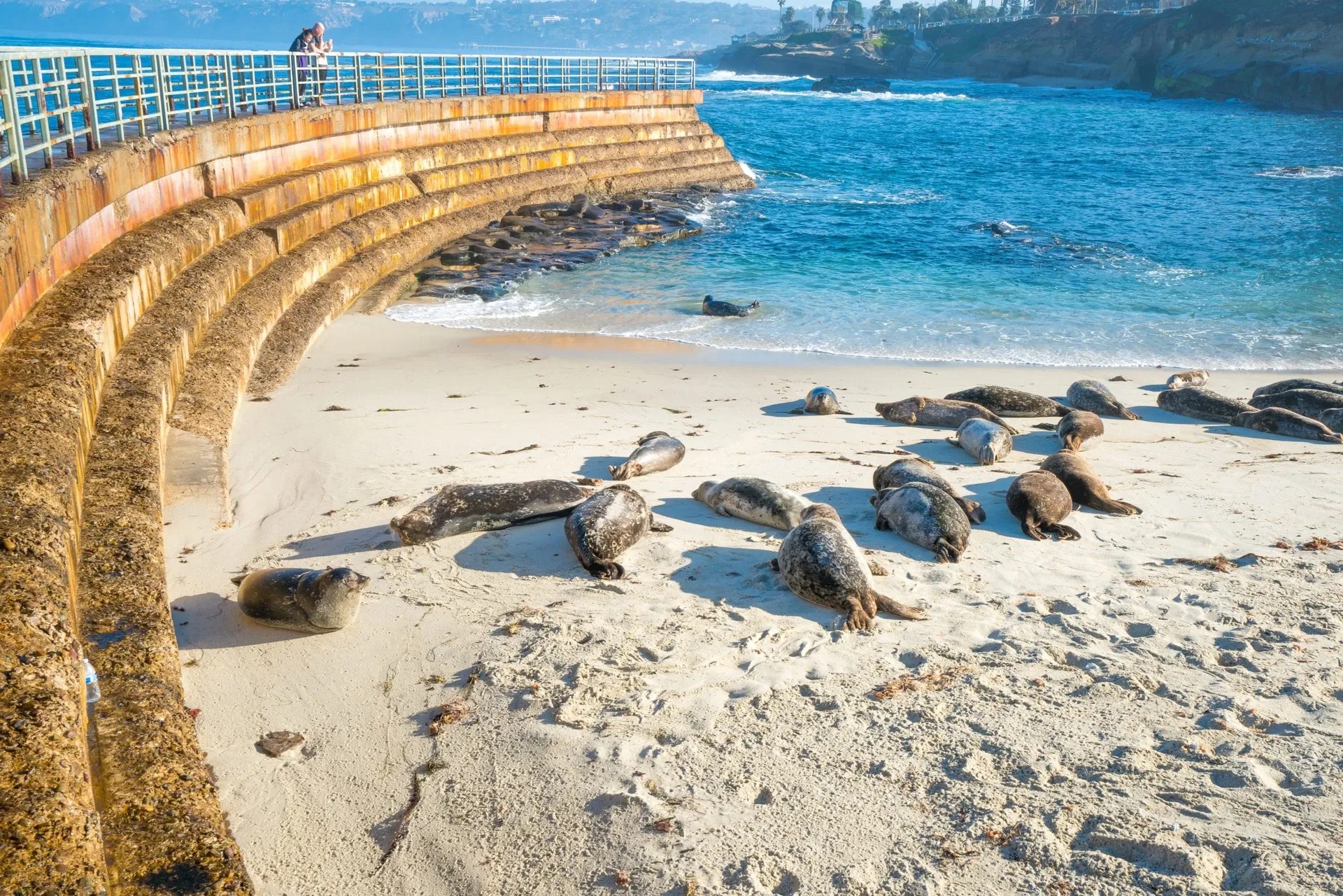 Children’s Pool (Seal Beach)