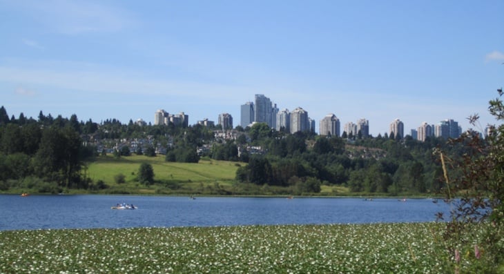 Deer Lake