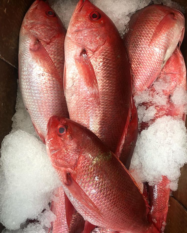 Green Fish Seafood Market