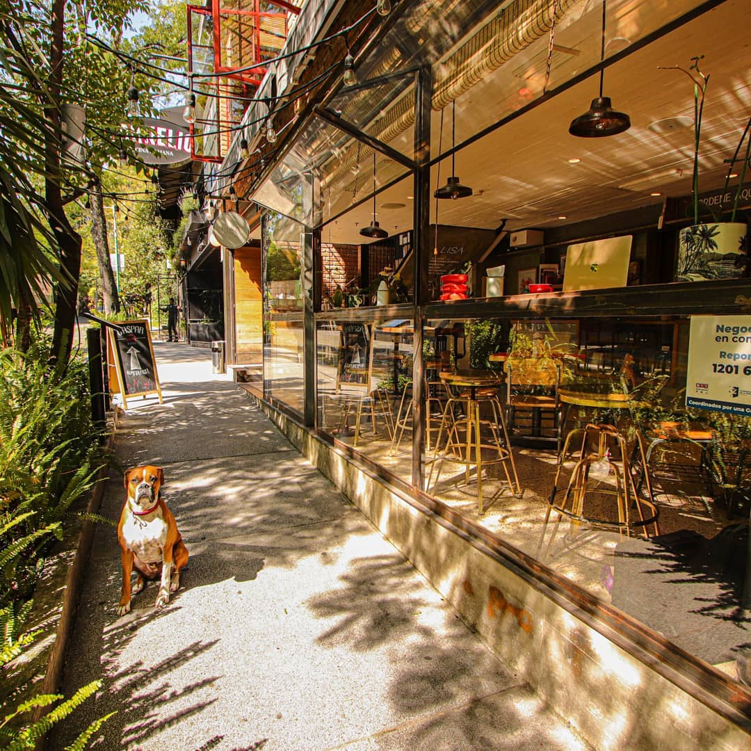 LISA Café Bar