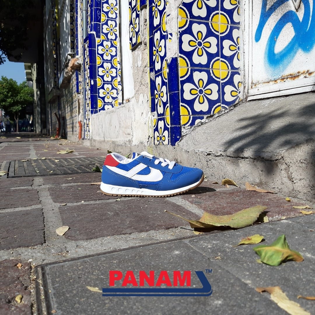 Panam Santa Tere