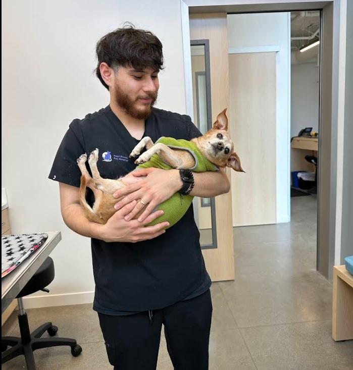 Pearl Street Pet Hospital La Jolla