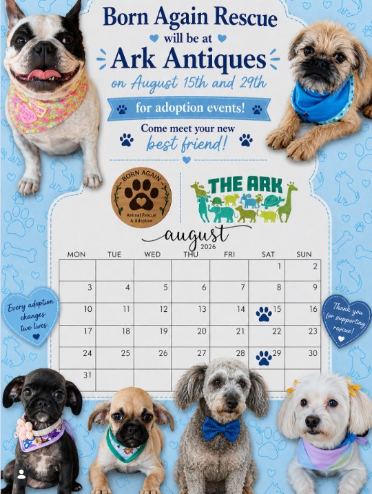 Born Again Rescue Dog Adoption Event