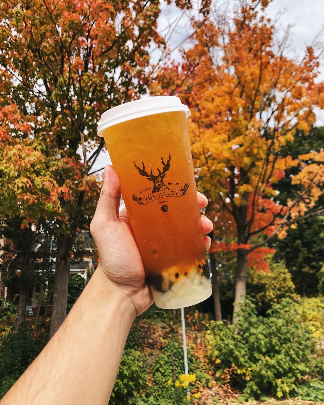 The Alley Bubble tea
