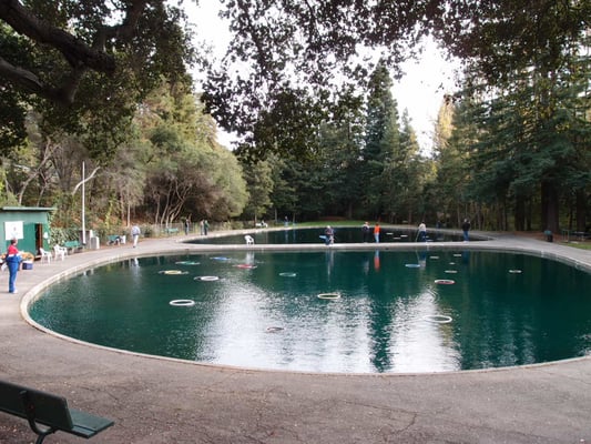 The Oakland Casting Club