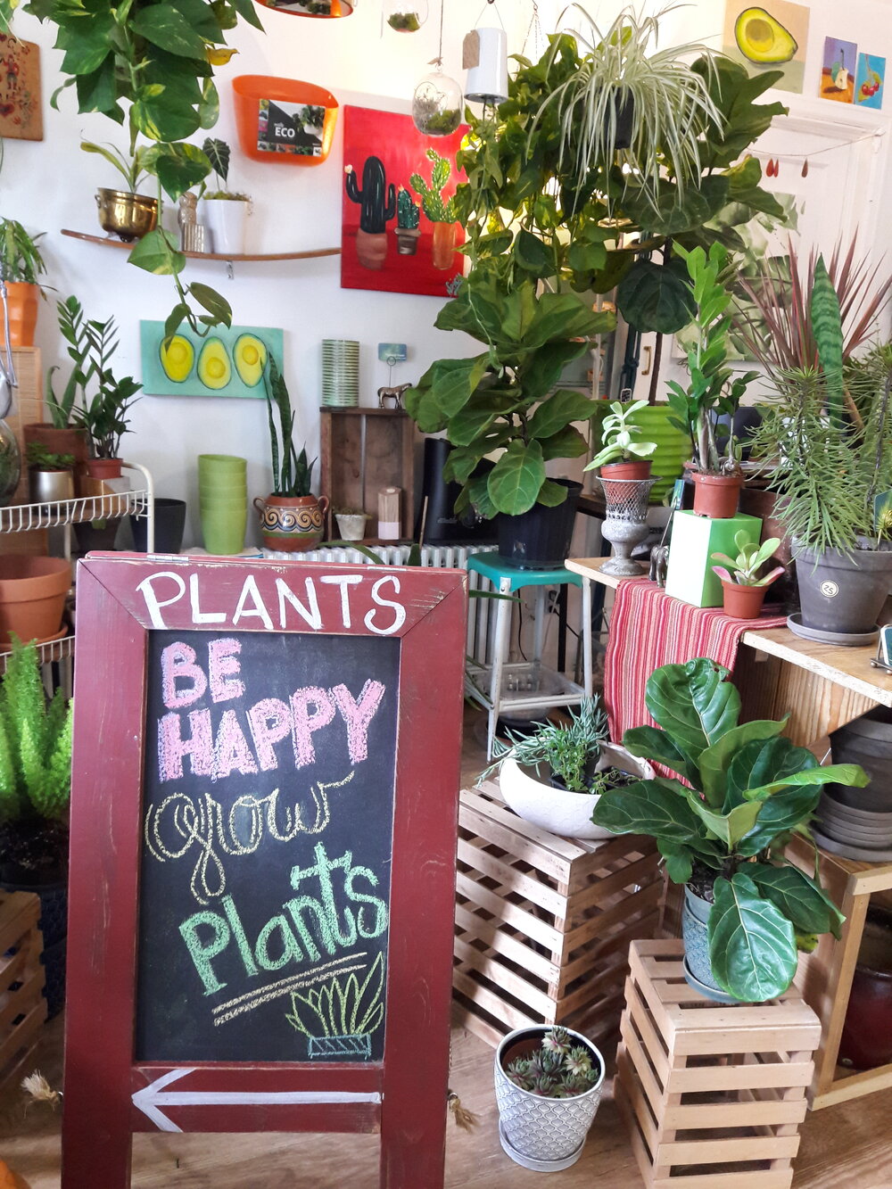 Best Boutique Plant Shops in Denver