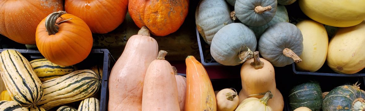 Lloyd Farmers Market