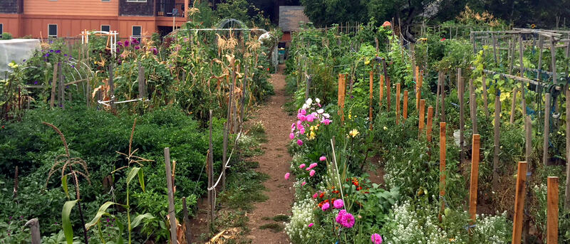 Floyd Light Community Garden