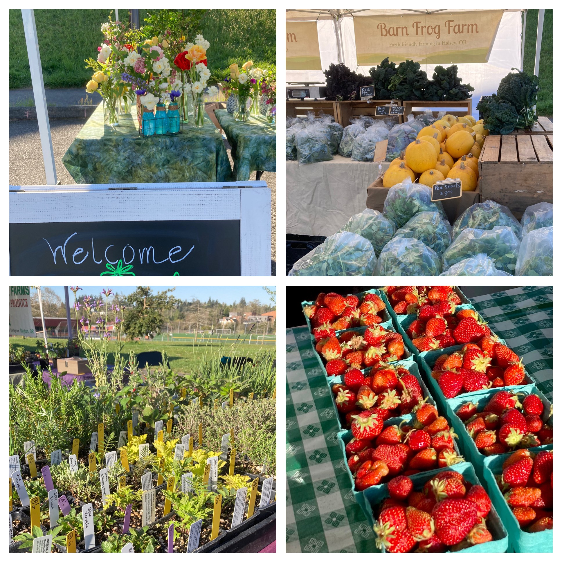 Hillsdale Farmers Market