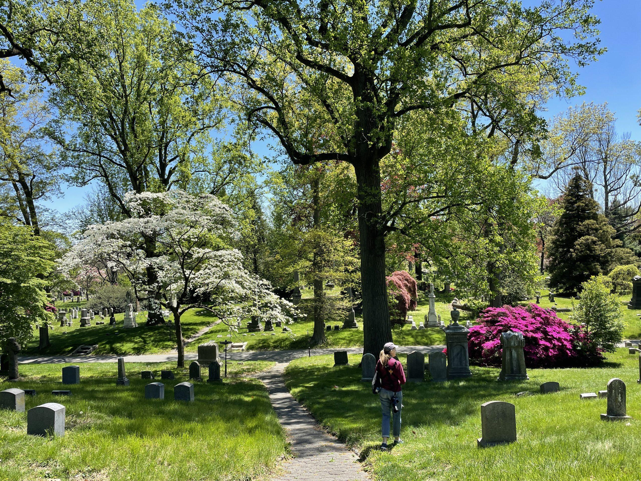 Grave Beginnings: Walking Green-Wood