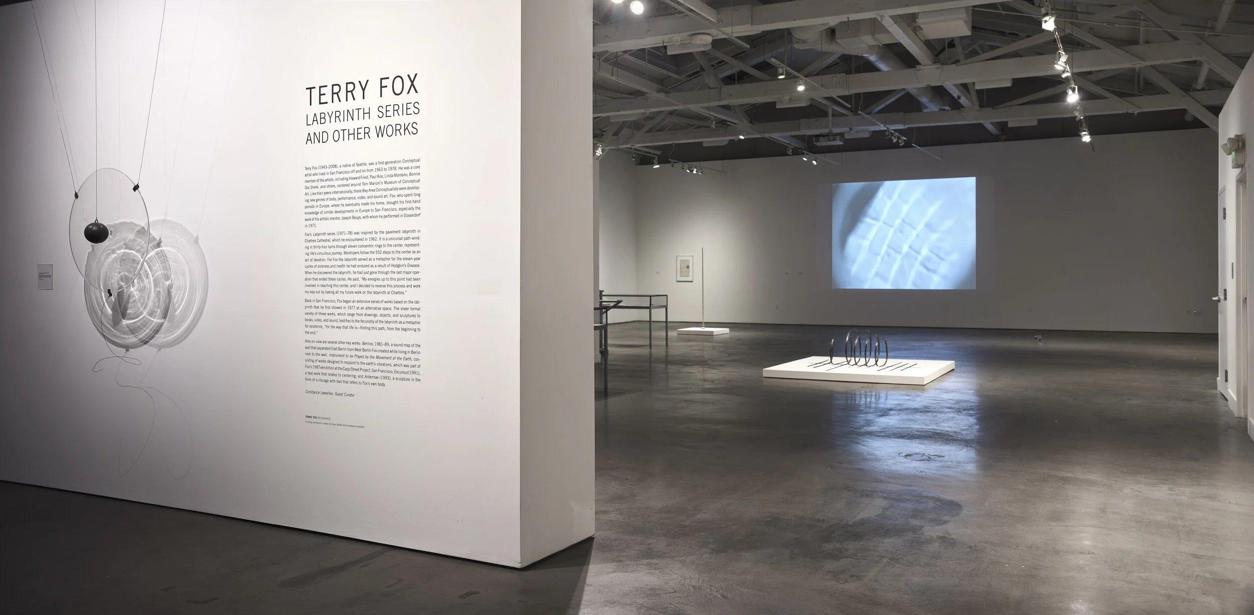 Terry Fox: Resonance