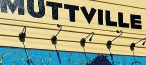 Muttville Cleanup – Volunteer Community Service