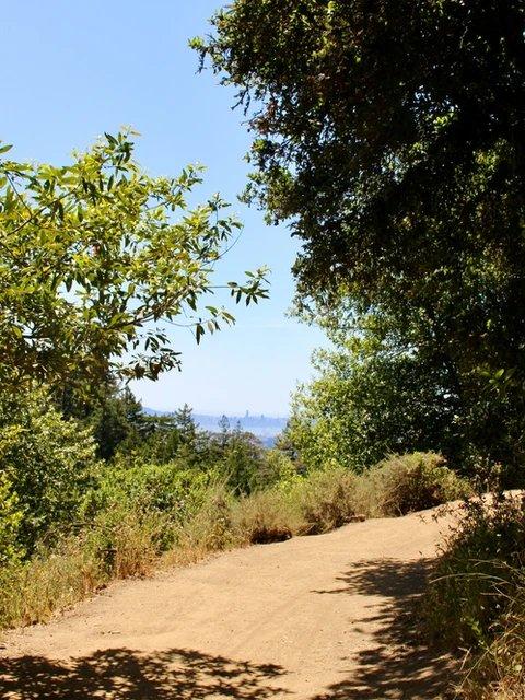 Sausal Creek Trail