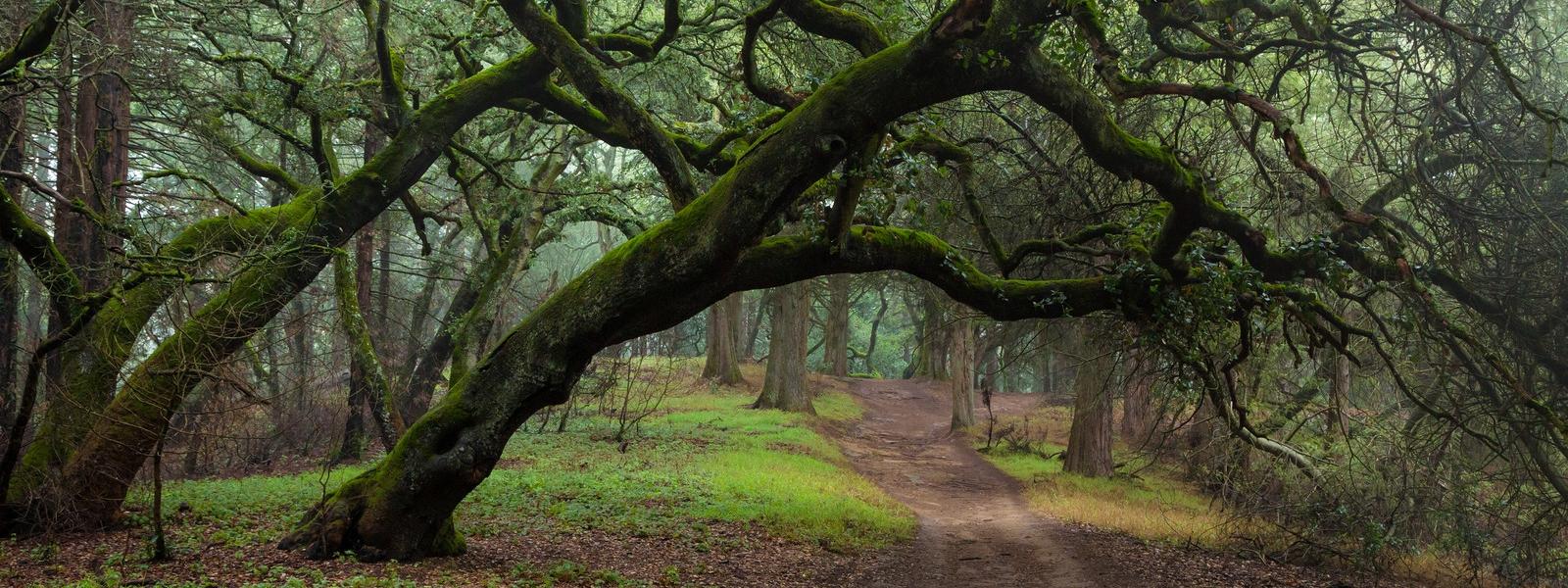 Joaquin Miller Park