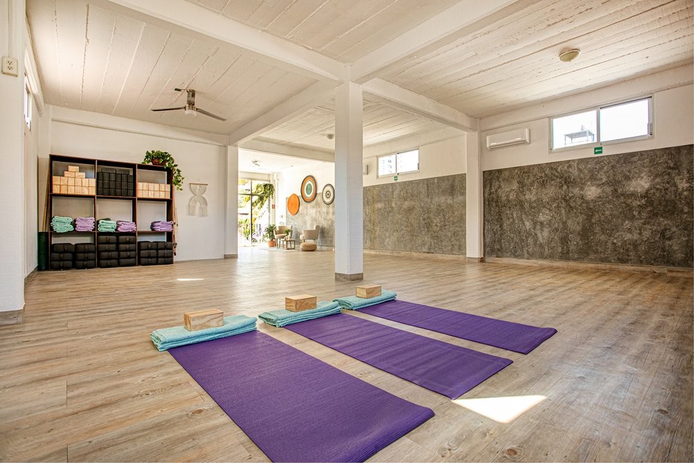 Private & Group Yoga Classes  Flying Heart Yoga Puerto Vallarta