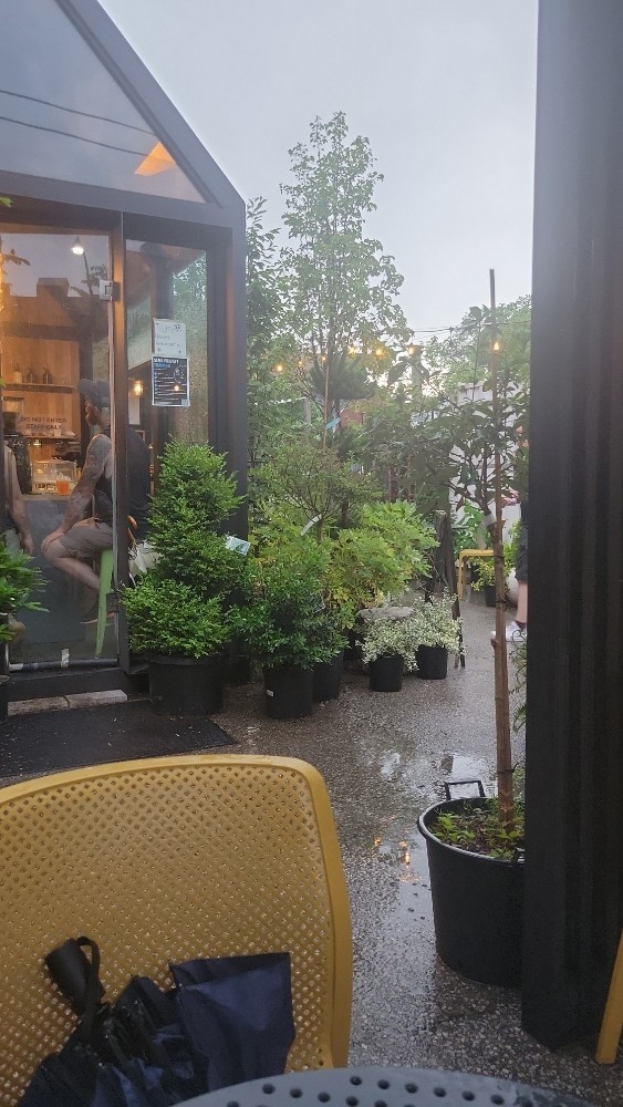 Queen Garden Centre and Cafe