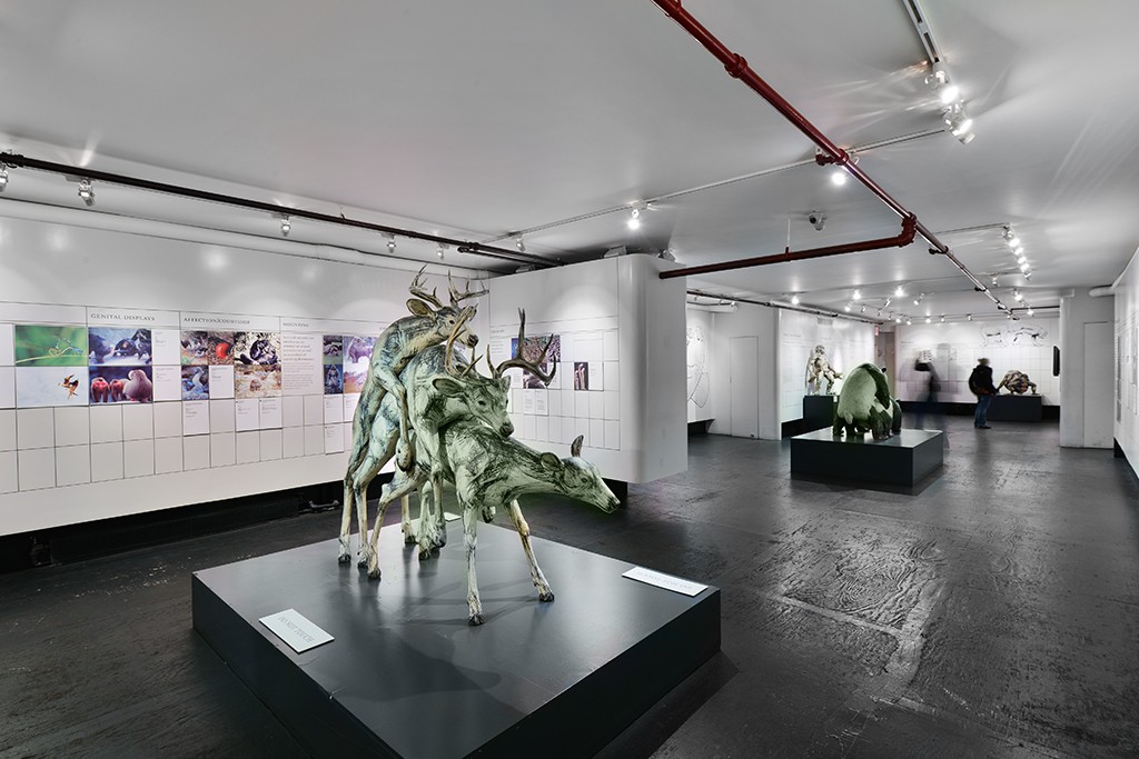 Museum of Sex