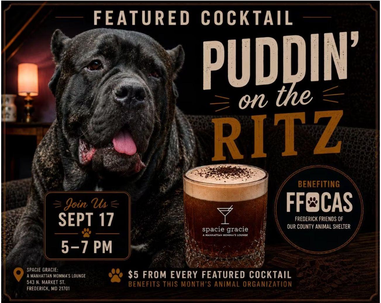 Spacie Gracie Puddin’ on the Ritz fundraiser for FFOCAS