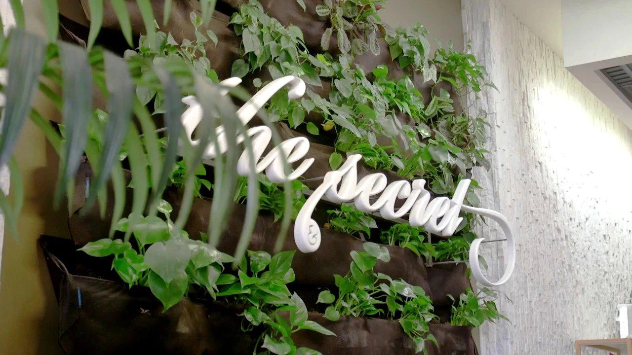 The Secret Vein Clinic