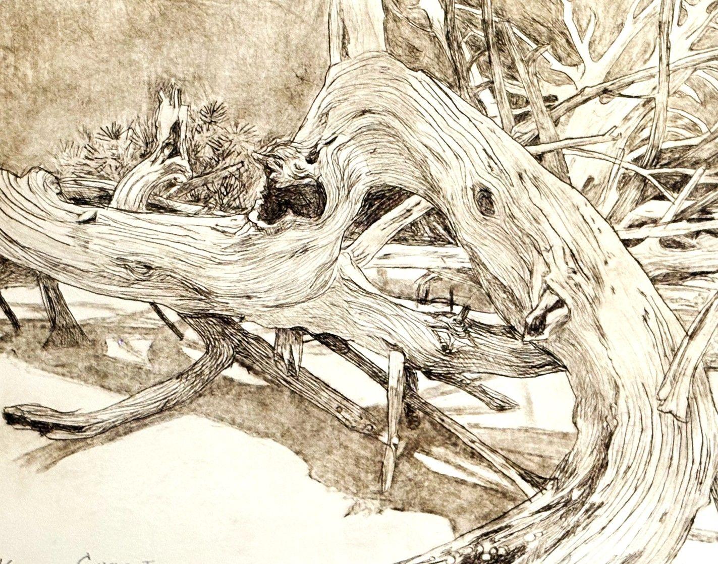 Exhibit- Root & Branch