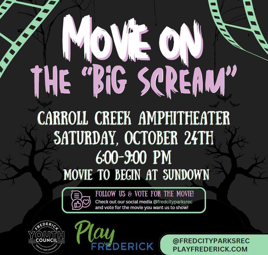 Movie on the Big Screen
