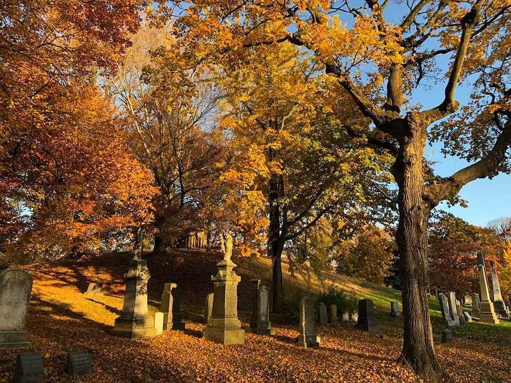 Catch the Colors: Fall -Wood