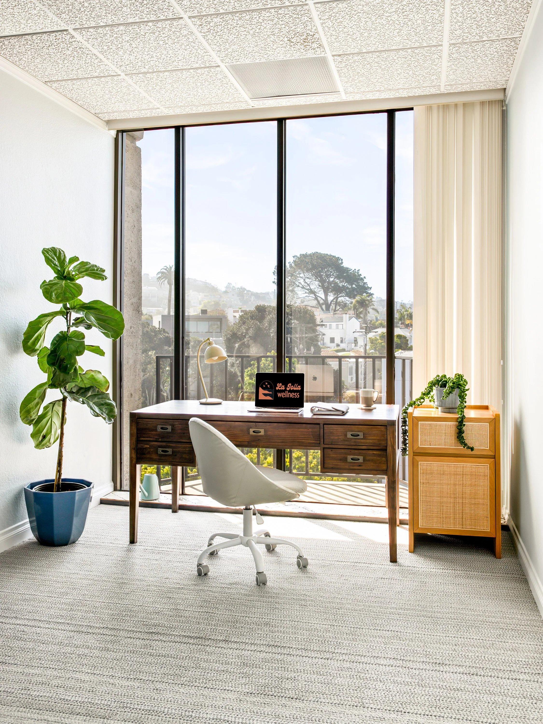 La Jolla Wellness