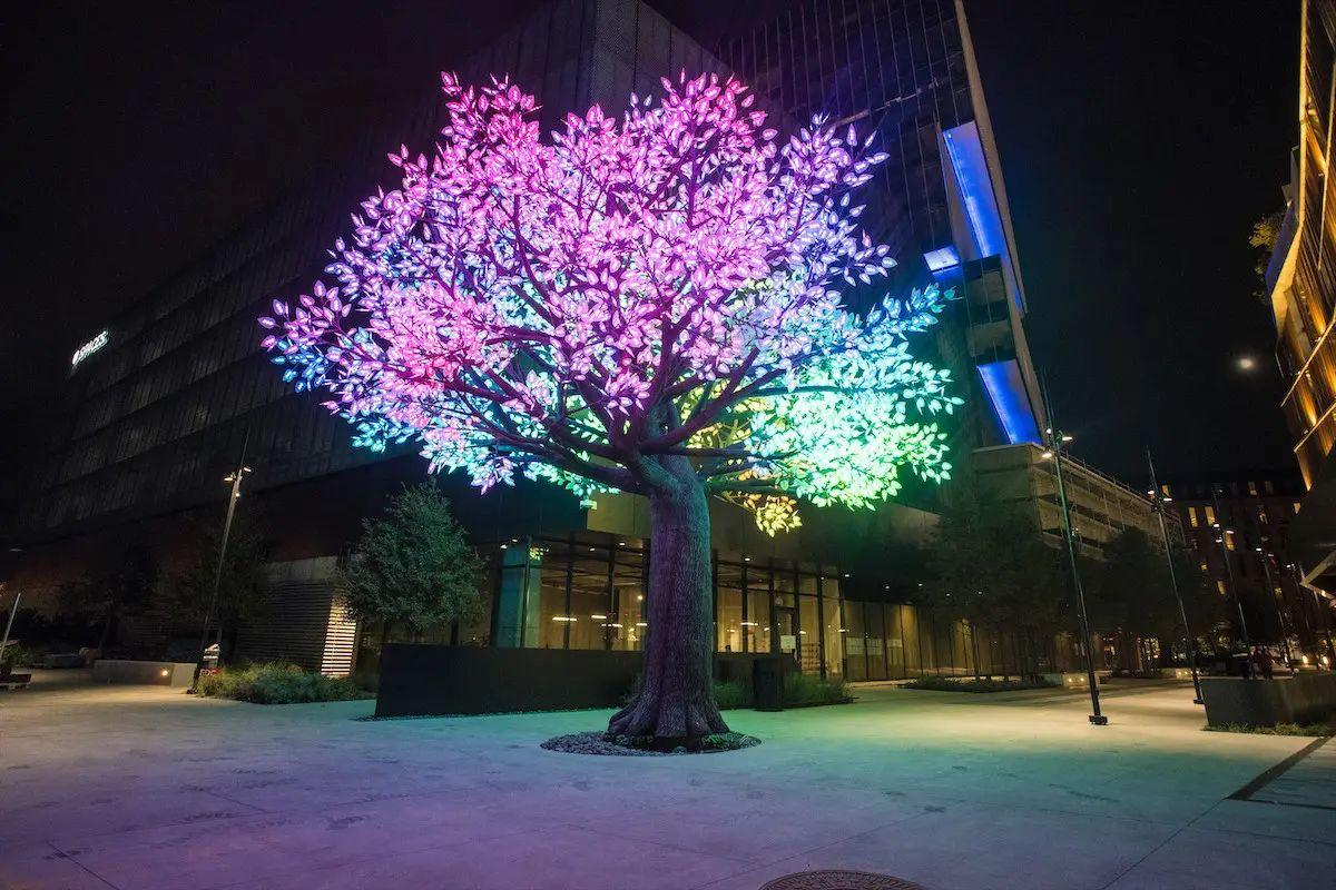 Tree of Ténéré - Deep Ellum Texas