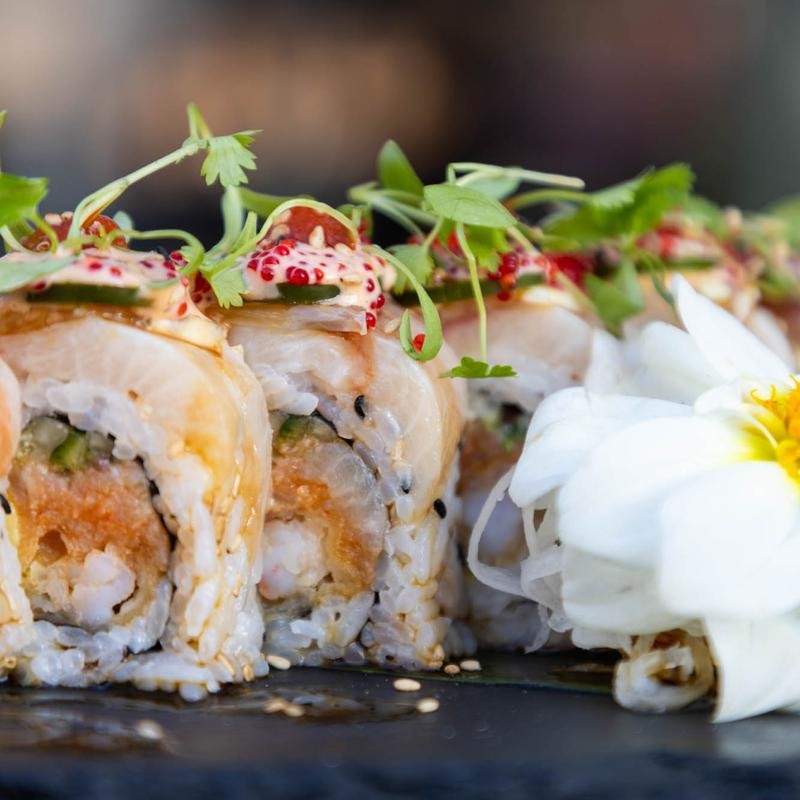 Sushi Nekosan | La Jolla by the Sea