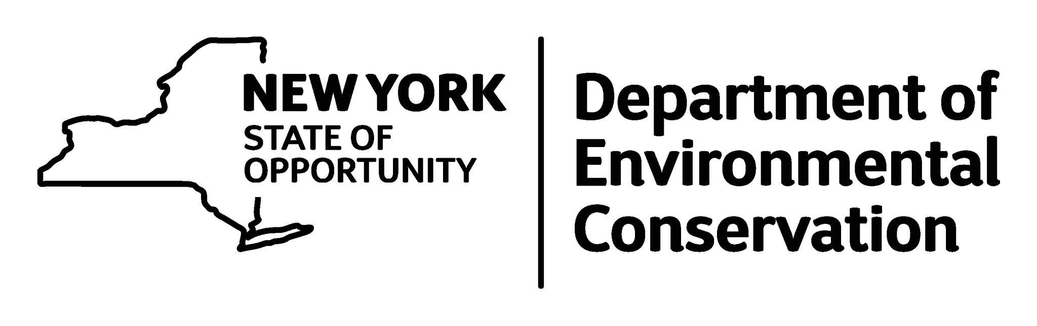 Celebrate City of Forest Day -Wood!