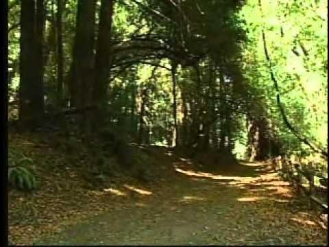 Reinhardt Redwood Regional Park