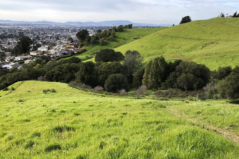 Kings Estates Open Space
