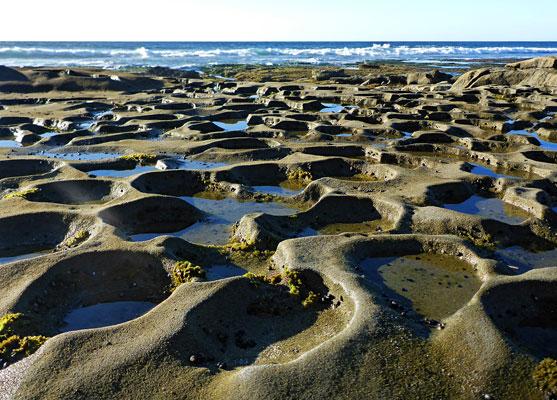La Jolla Tide Pools
