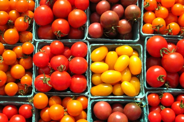 Mount Hood Farmers Market