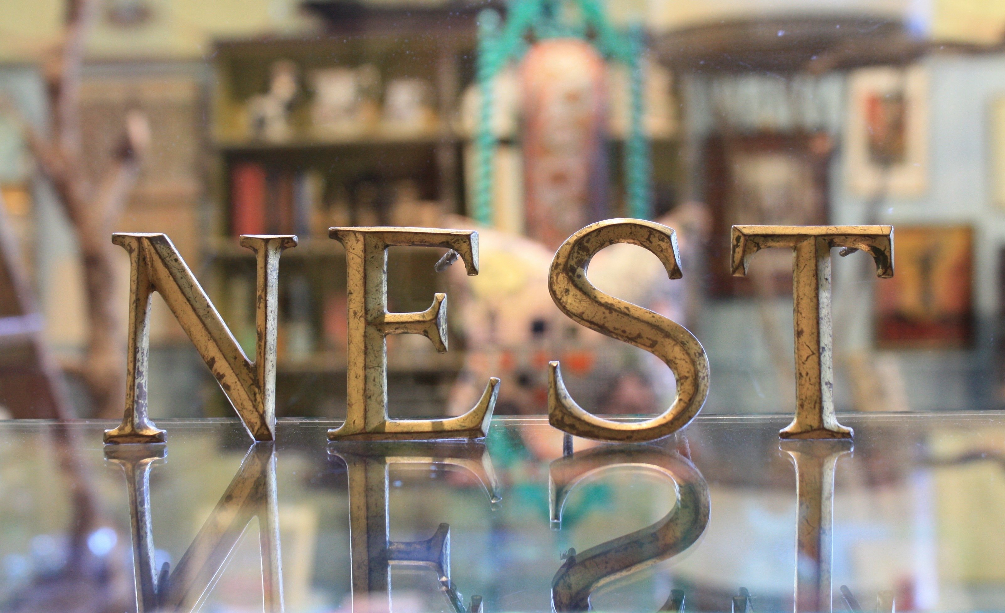 Nest