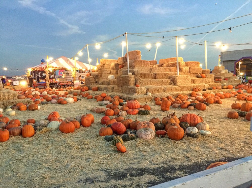 Speer Family Farms