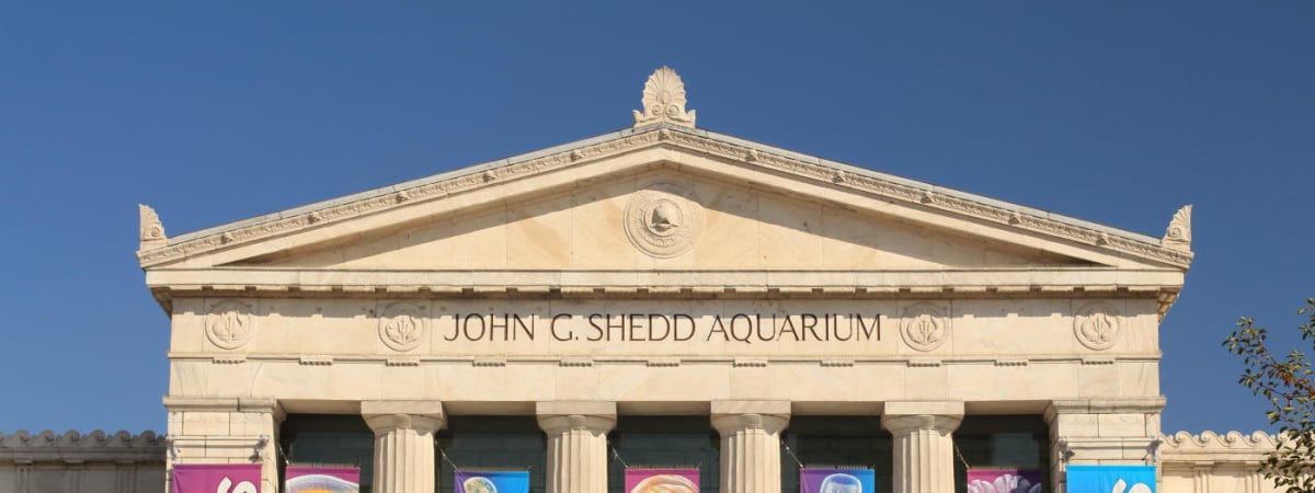 Shedd Aquarium