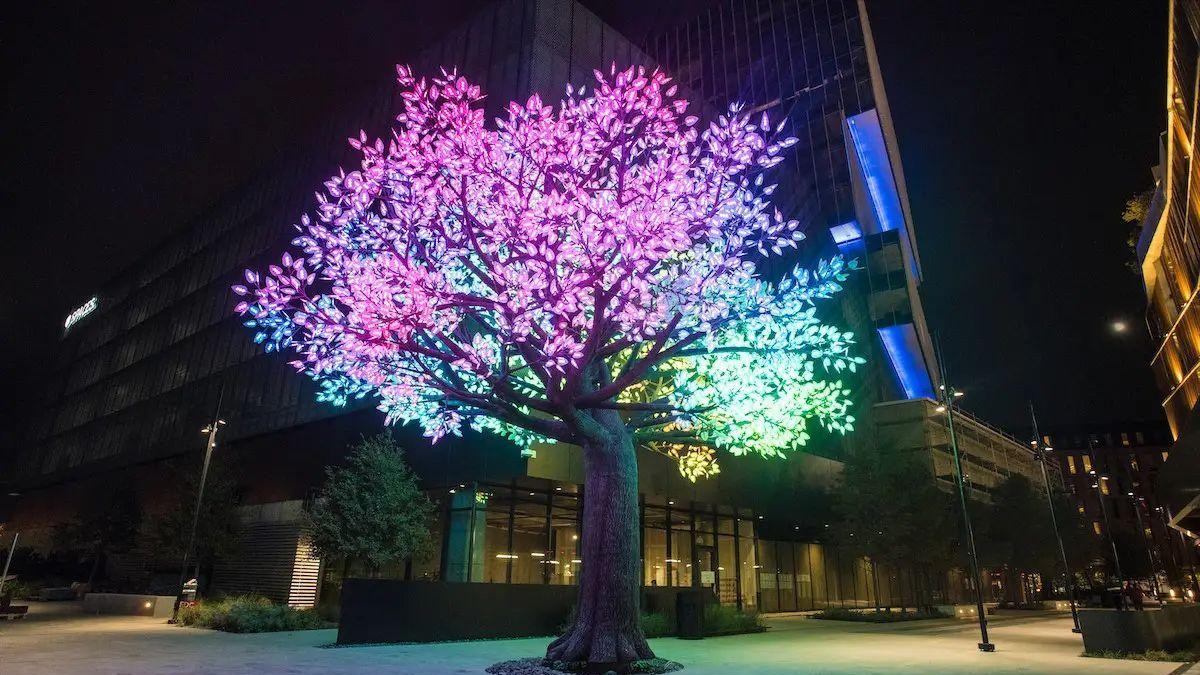 sakura　ティーツリー、ラベンダー、テラアーマー Tree of Ténéré - Deep Ellum Texas